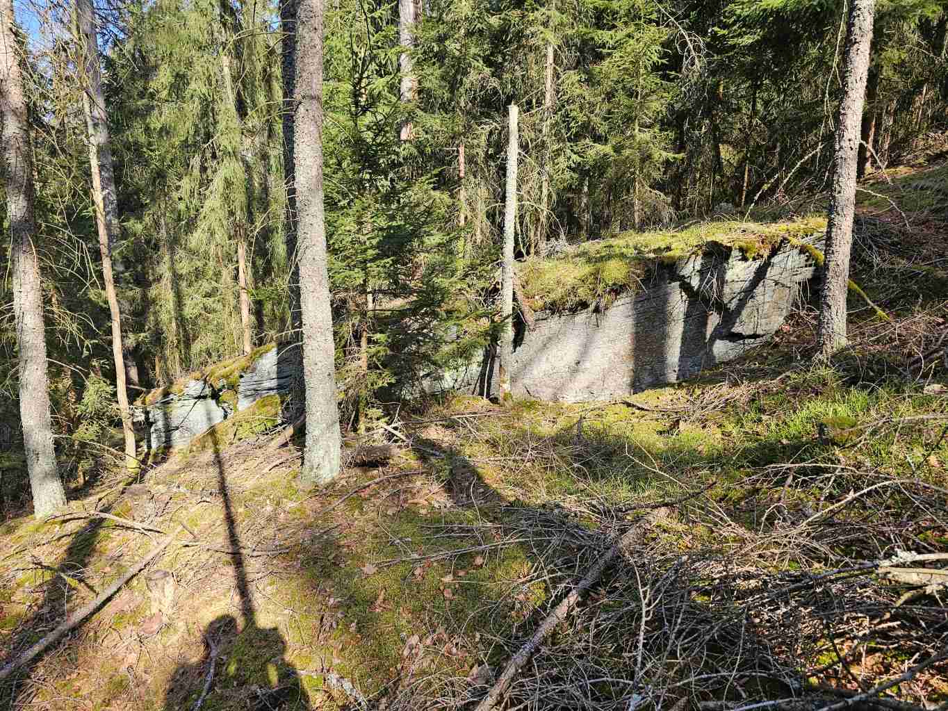 plocha-ve-smeru-zlomovych-struktur-na-mrazovem-srubu