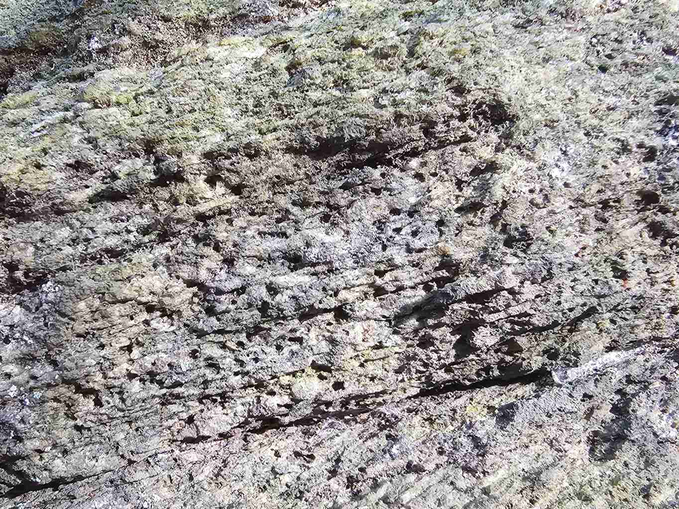 priklad-zvetravani-svoru-mrazovy-srub-detail