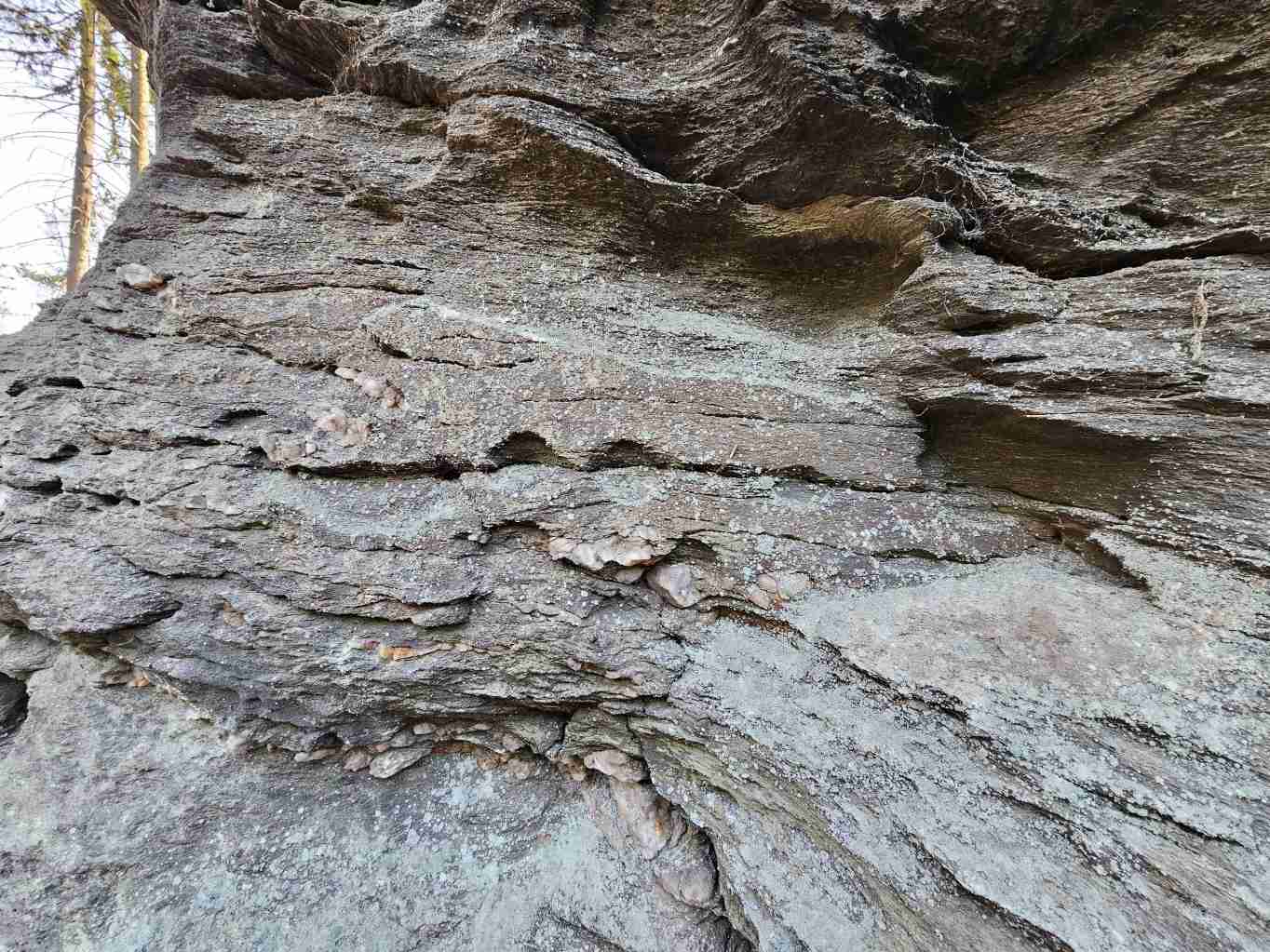 retizkova-struktura-na-navetrne-strane-toru