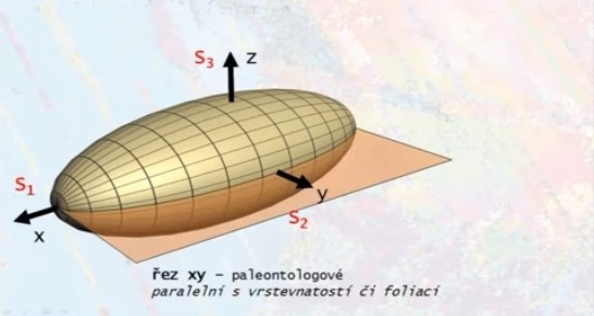 rez-xy-plocha-S2-paleontologove-vrstevnatost-foliace-upraveno-