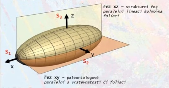 rez-xz-plocha-S1-strukturni-kolmo-na-foliaci-paralelne-s-lineaci-upraveno