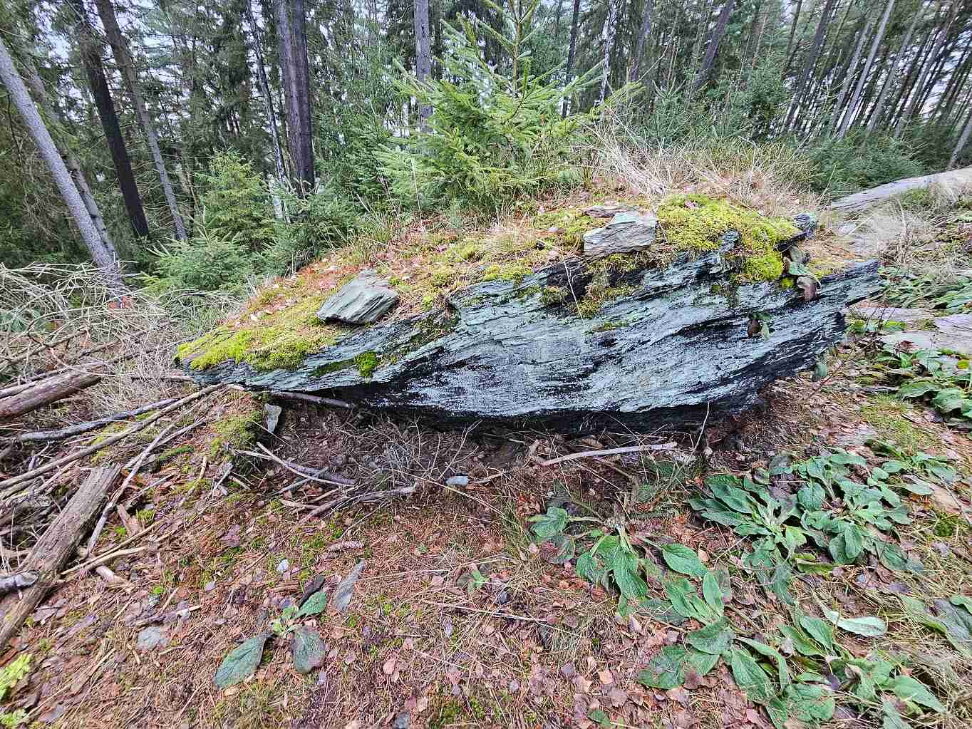 samostatny-blok-skaly-lezici-na-terenu