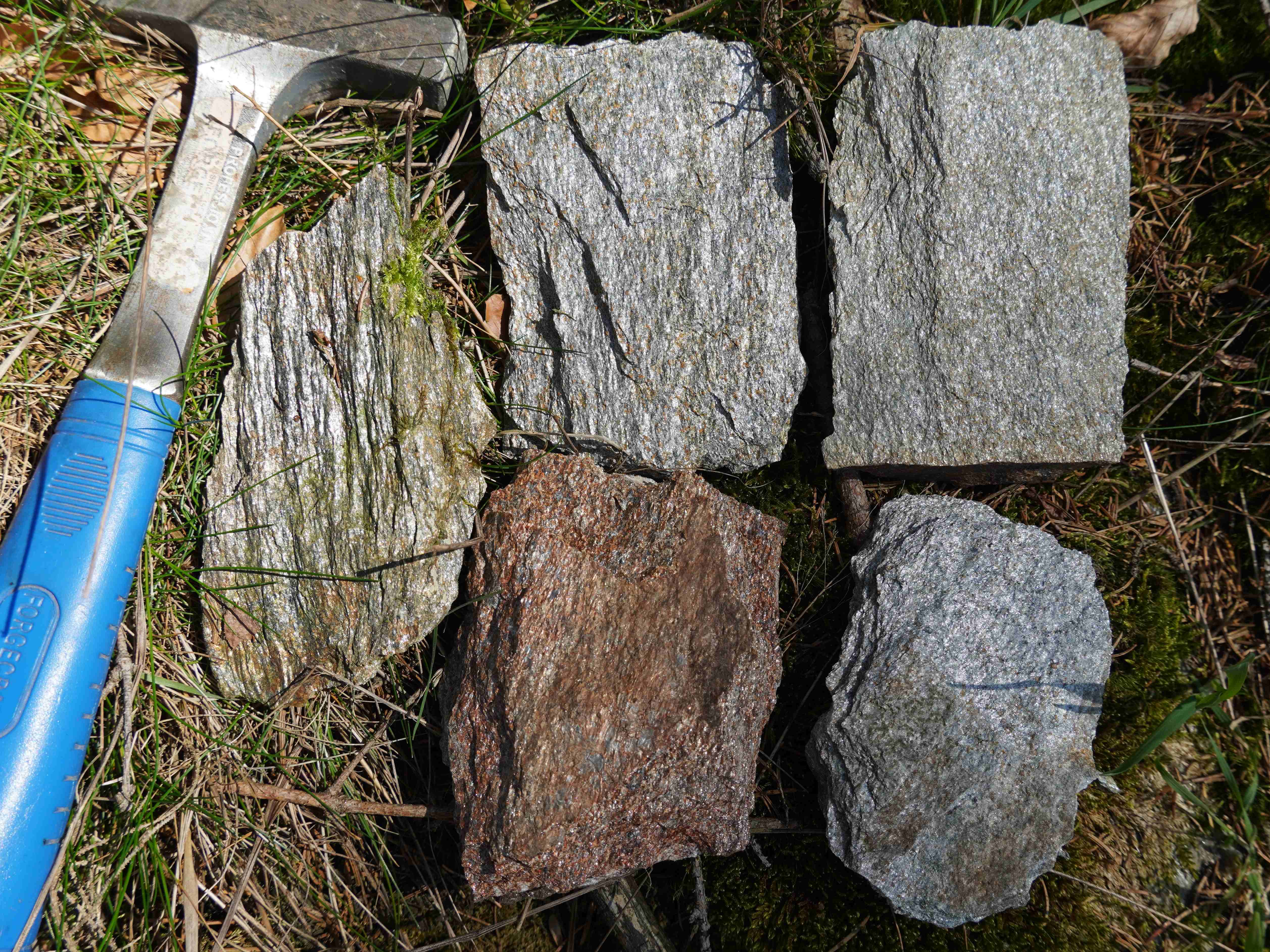 svory-hainberg-vzhled-textura