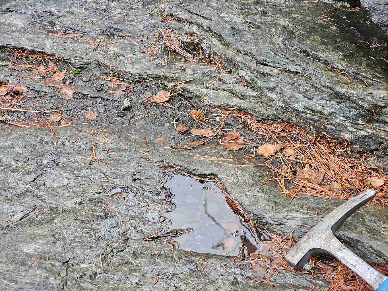 vnikajici-skalni-misa