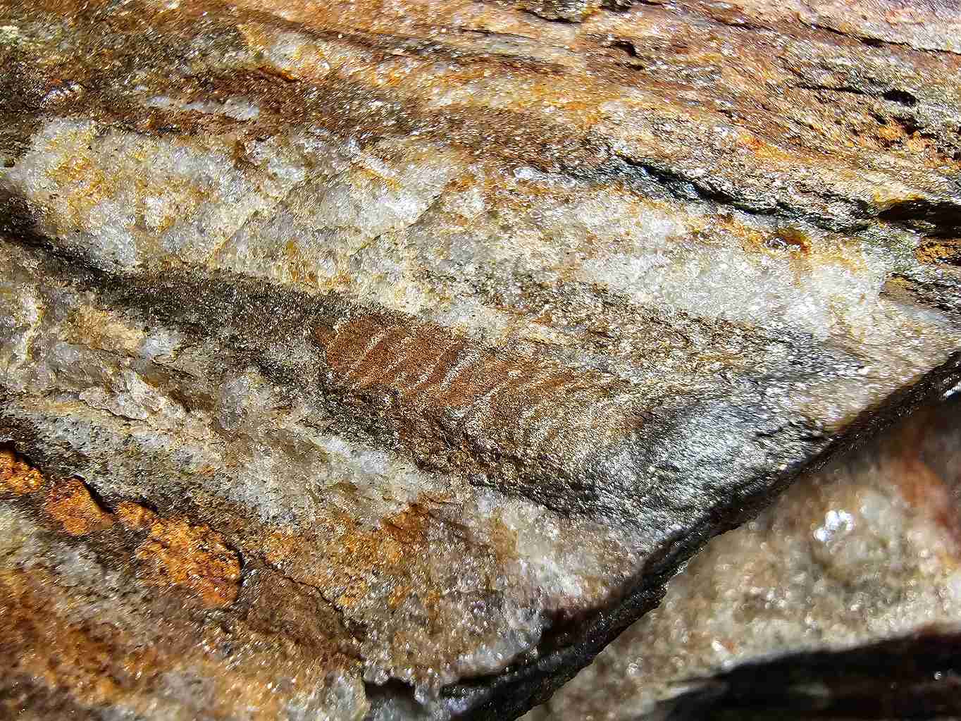 vrasky-uvnitr-kremenne-polohy-vzorek-z-terenu