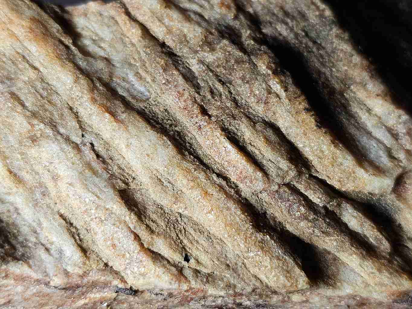 vrasky-v-kompetentim-materialu-otisk-nasviceno