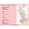 geomorfologie geologie horniny mineraly Asska a okoli mapy prednasky