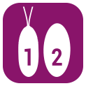 ICONOS-MAG-56