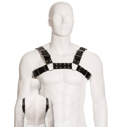 BODY LEATHER Barva: ČERNÁ BULL DOG HARNESS