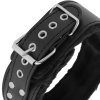 DARKNESS COLLAR S LEASH TITANIUM