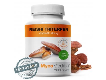 reishi tr detail s razitkem 3.761696527