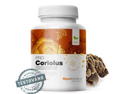 Screenshot 20251215 185155