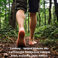 Earthing (uzemnění)