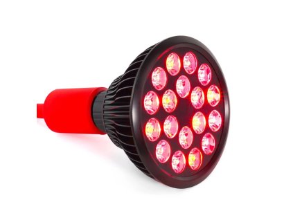 212 mito light bulb 5 0
