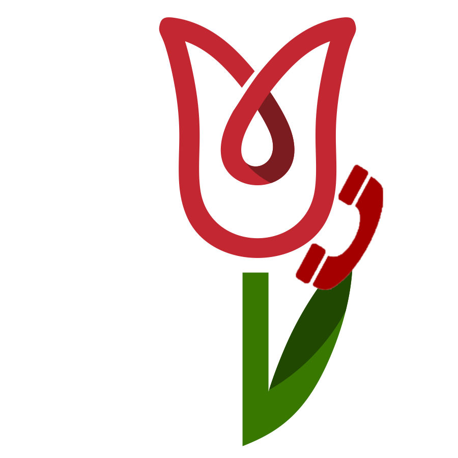 Professional approach