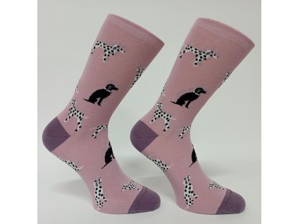 Dalmatin ruzvzorovane ponozky dalmatin