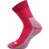 Alpin fuxia