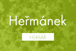 Bio herbář: Heřmánek