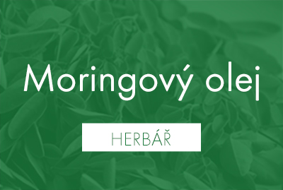 Moringa: Zázračný strom s všestranným využitím