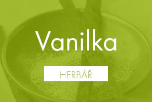 Bio herbář: Vanilka