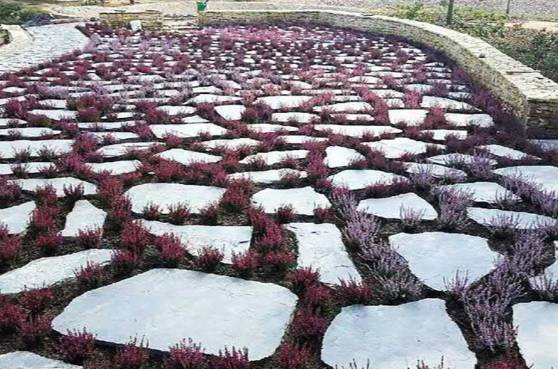 Břidlicový šlapák