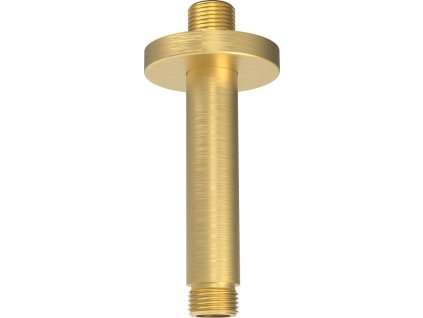 Sprchové stropné ramienko, okrúhle, 200mm, zlato mat 1205-05GB