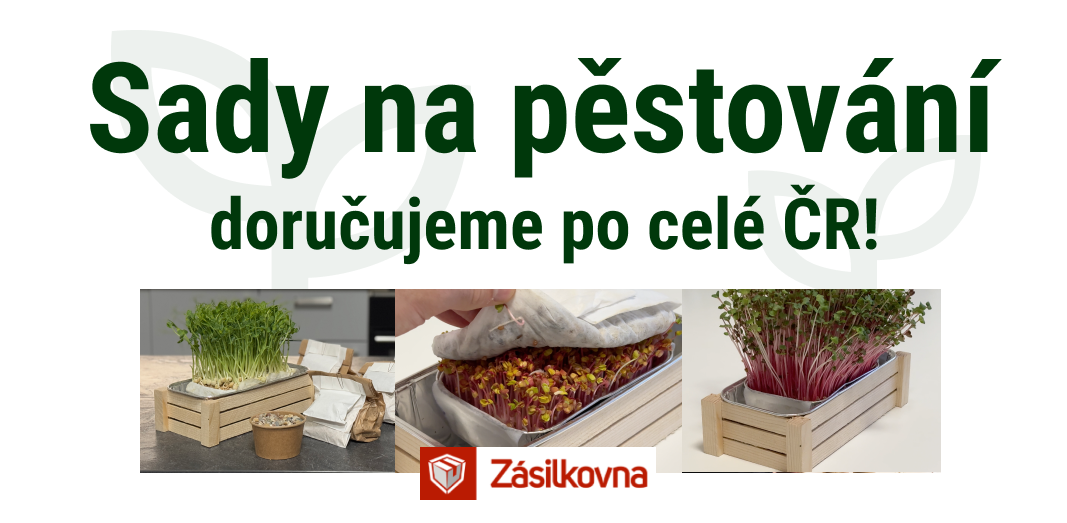 Novinka! Sady na pěstování microgreens v pohodlí domova