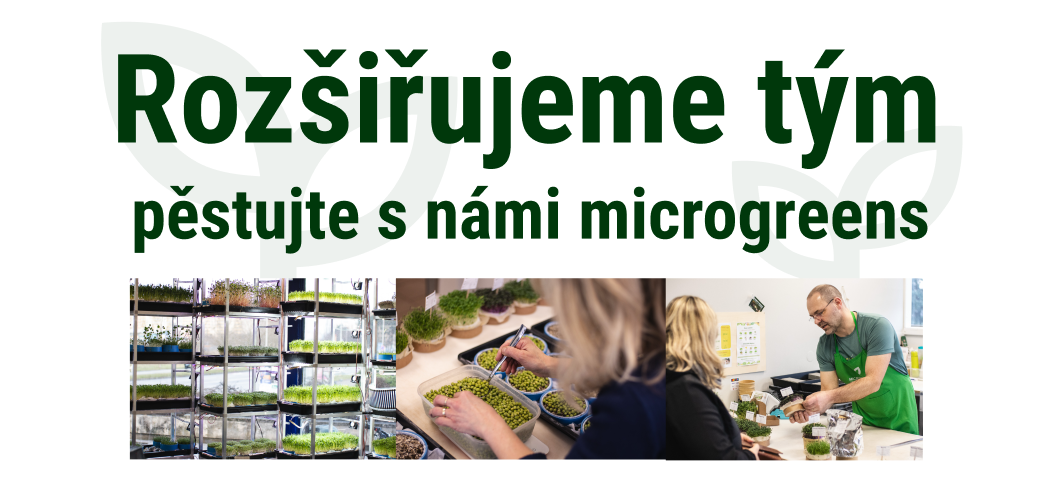 Zájem o microgreens roste, hledáme posily do týmu! 💚