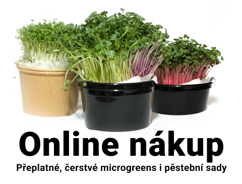 Prodej s doručením v Hradci