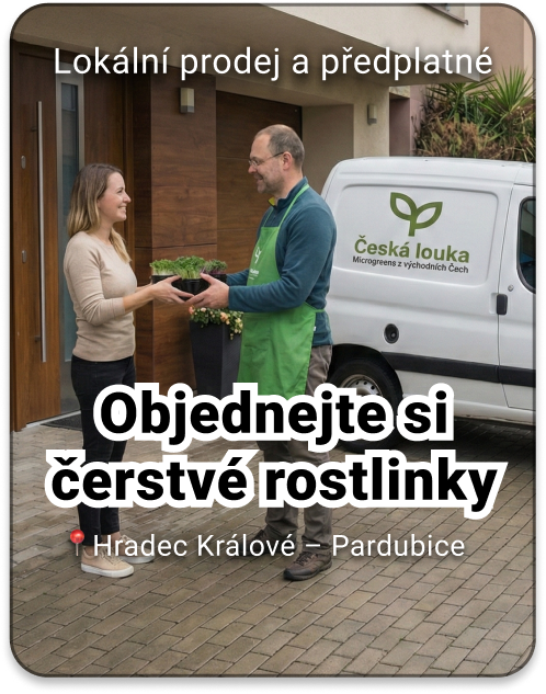 Prodej s doručením v Hradci