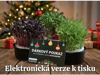 Snímek obrazovky 2025 12 03 v 17.47.36