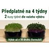 predplatne dvojka