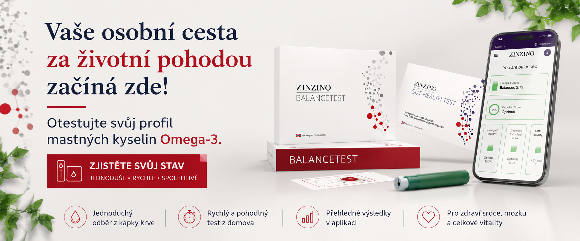 zinzino test