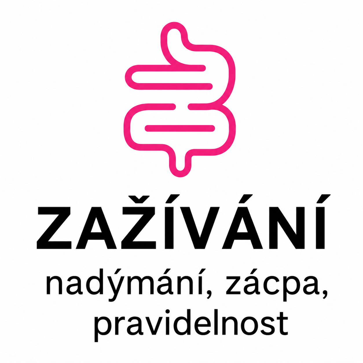 Zažívání