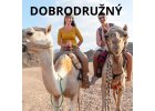 DOBRODRUŽNÉ FILMY