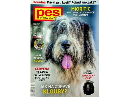 Pes přítel člověka 2026 01