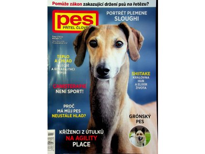 Pes přítel člověka 2026 02