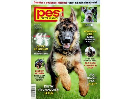 Pes přítel člověka 2026 05