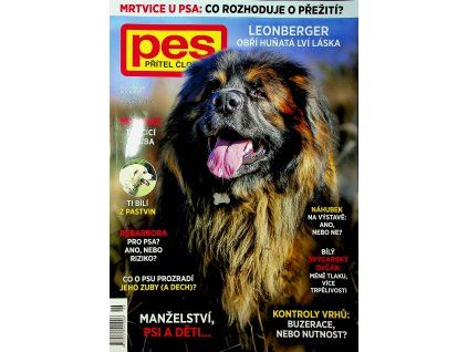 Pes přítel člověka 2026 06