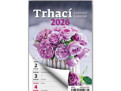 Snímek obrazovky 2025 06 13 113655