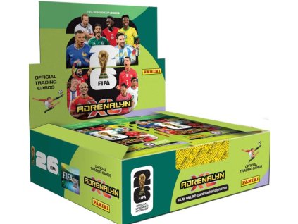 Snímek obrazovky 2026 03 04 174229