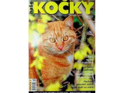 Naše kočky 2026 04
