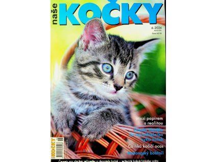 Naše kočky 2026 06