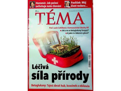 Téma 2025 22
