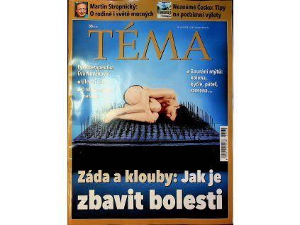 Téma 2026 38