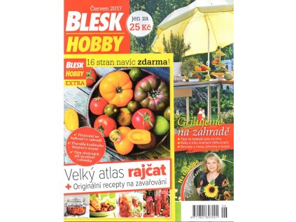 Blesk hobby 6/2017