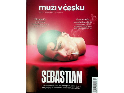 Muži v česku 2026 01