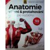 Anatomie Jak na to