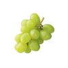 GRAPE