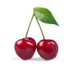 CHERRY